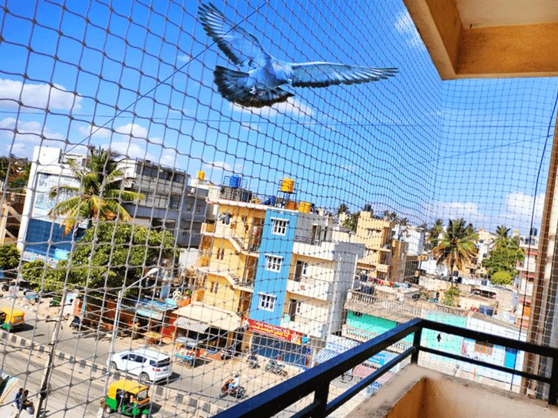 Pigeon Safety Nets installation services by HRB Sports & Safety Nets